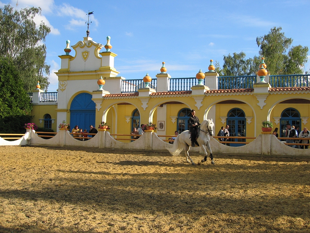 Dressage cheval 01.jpg